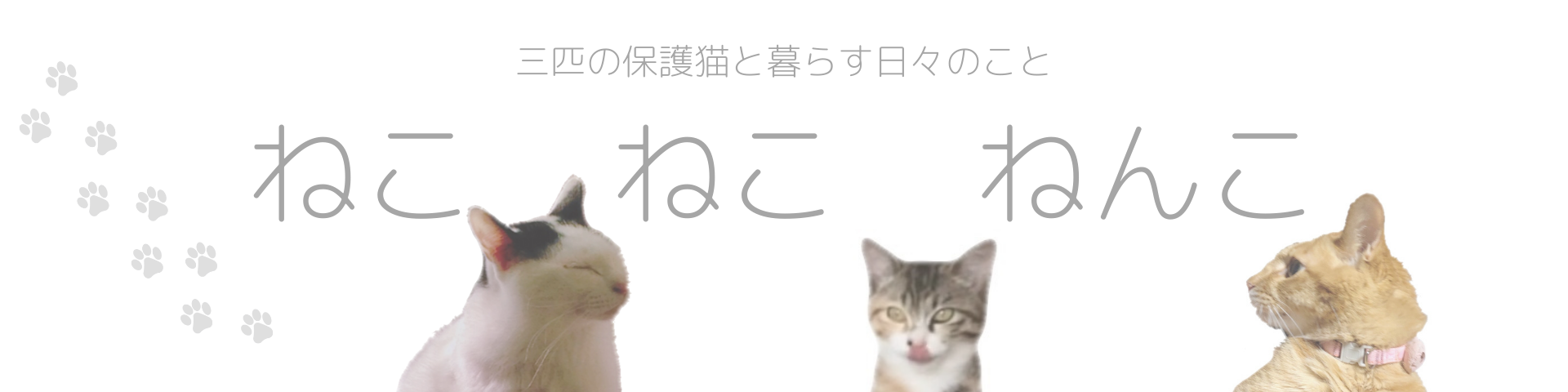 ねこねこねんこ